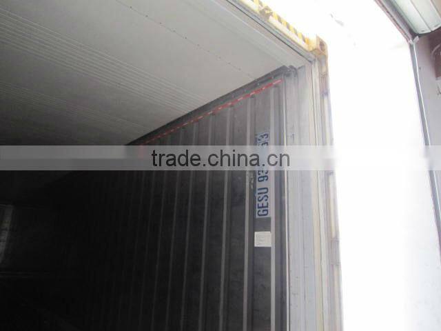 Pacific mackerel HGT