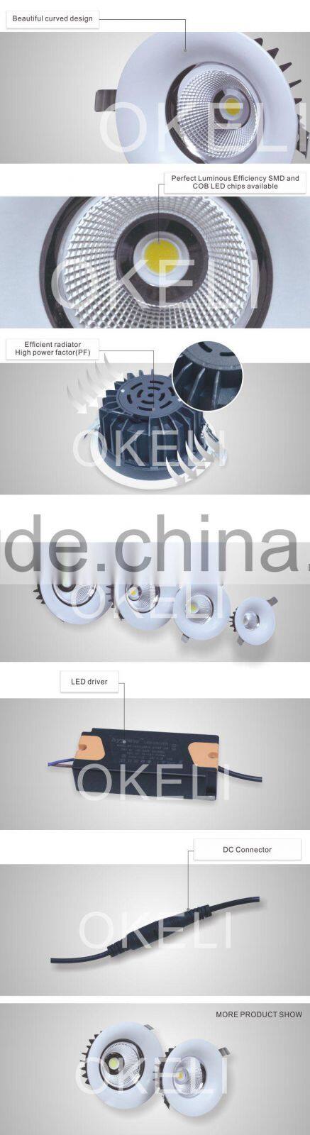 Top quality CE RoHS BIS approved led cob downlight,cob led downlight 10w 15w 20w 30w