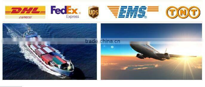 Elastic Adjustable Head Strap For GoPros Heros 3+/3/2/1