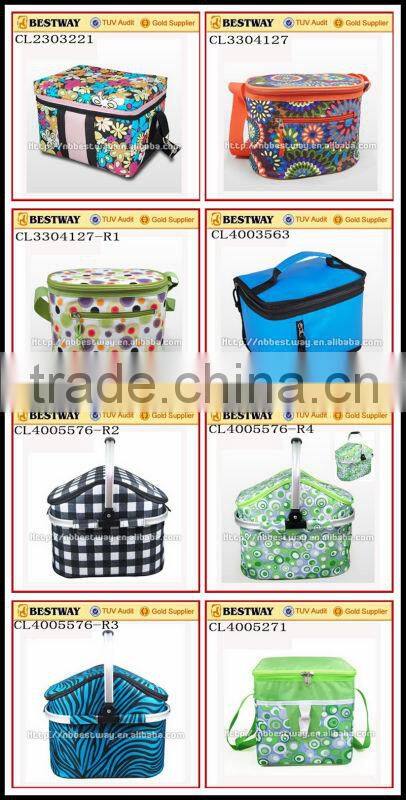 School bag and lunch bag set, Lunch cooler bag with drink holder