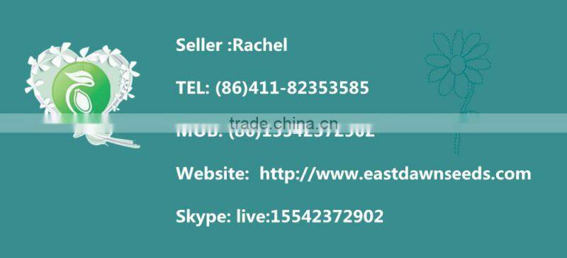 Organic Goji Berries Dried