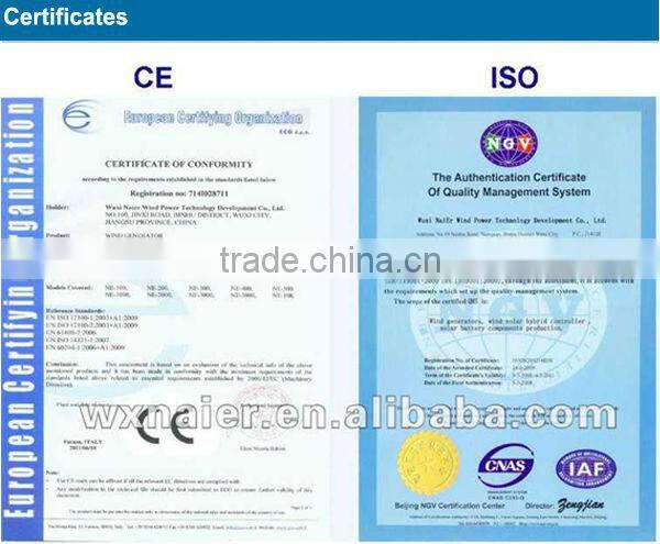 200w output 12v /24v small alternator wind turbine generator /wind generator