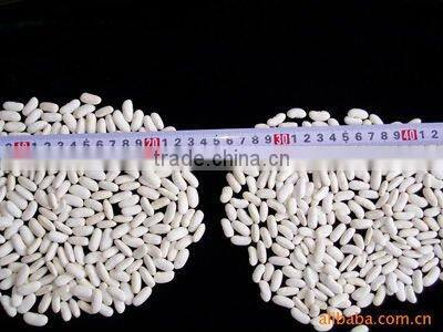 Canned Kidney Beans Canned White Beans in Brine