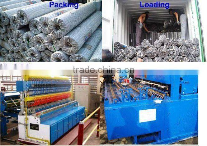PVC Welded Wire Mesh