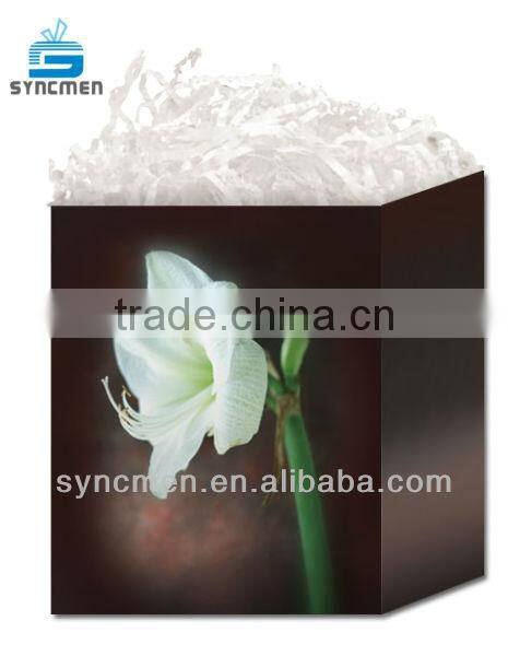 High Quality Gift Paper Packaging Bag