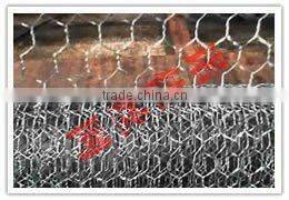 Anping Galvanized Chicken Mesh(Hot-dipped/Electro Galvanized)