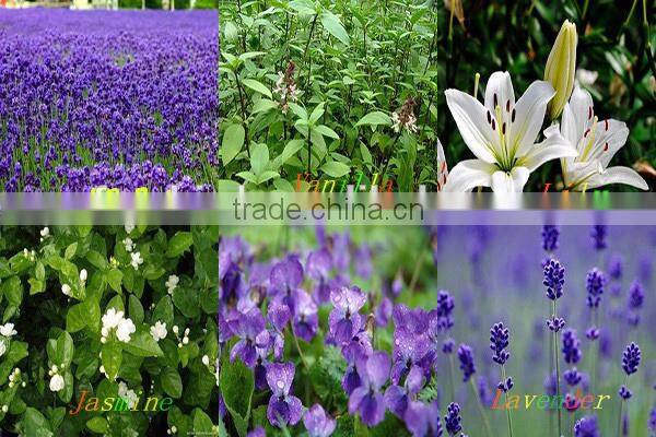 Wholesale scented tealigh candles for decoration