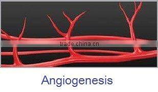 rf + cavitation slimming machine