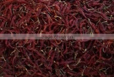 Export quality S-17 Stemless Teja chilly.