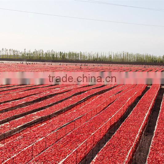 Wholesale Bulk Dried Tomato Sliced