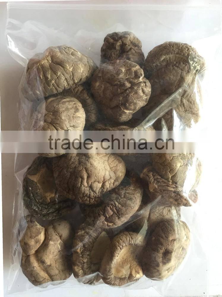 Non Pollution Organic Dried Shiitake Mushroom Dried Mushroom
