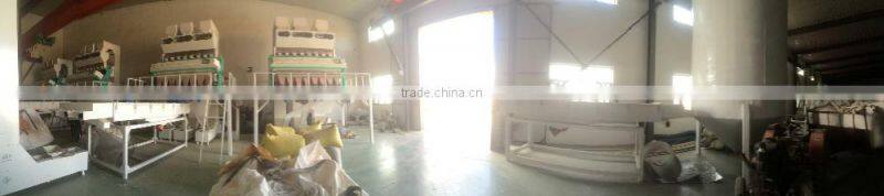 Inner Mongolia Sunflower seeds 5009