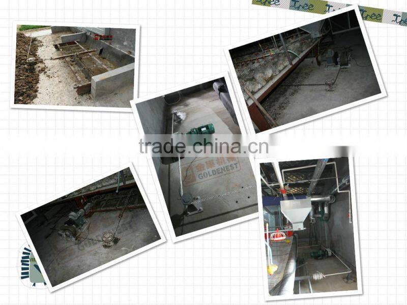 ^poultry farm equipment manure cleaning scraper