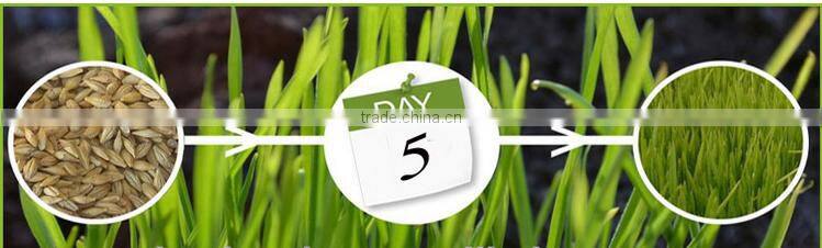 high quality fodder growing system machine