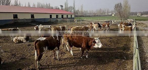 Pig farm MgO roof tile with Anti-aging film coat and fiireproof insulation of 5mm thickness,960mm width