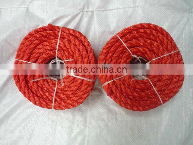 colorful pp twist rope