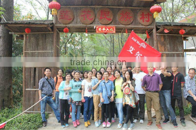 Neodymium Swept Arc Magnets