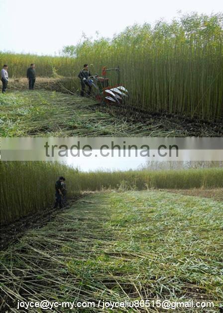 small walking tractor corn reaper