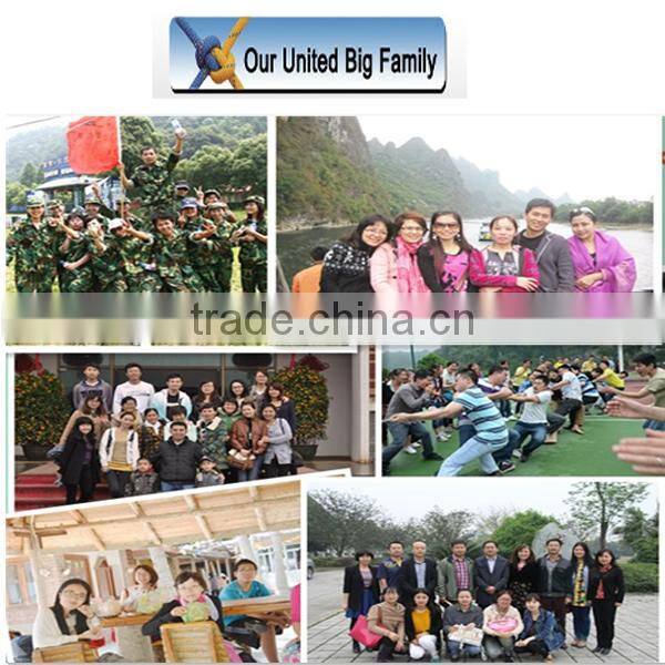 China best sales full Automatic 20t/d corn grinding machine for sale