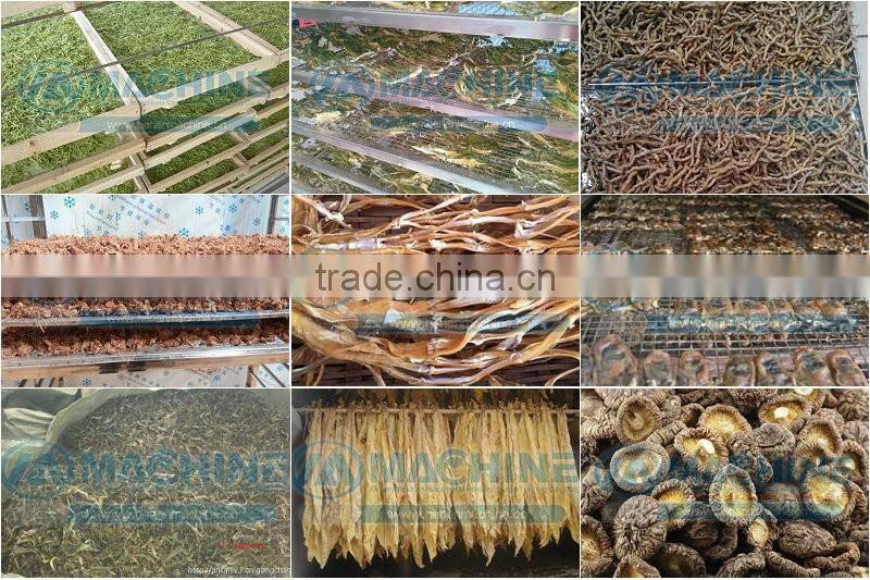 Most energy saving dried meat machines fruit drying oven cocoa drying machine