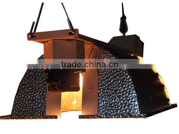 CE Authorized 1000w 600w 400w 250w HPS Grow Light Bulbs/HPS Grow Lighting/Grow Light Lamp