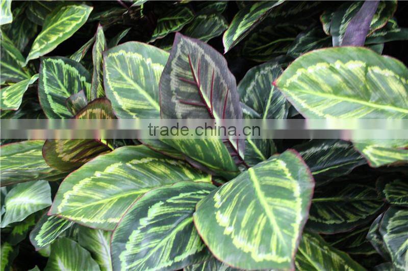 100*100*25cm Home garden decorative indoor vertical plastic Artificial Green Plant Walls ZWQ09 2110