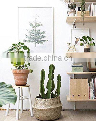 Seagrass natural belly basket made in Vietnam