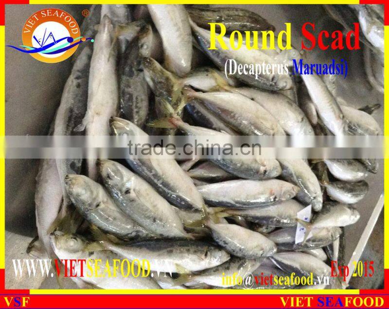 FROZEN W/R ROUND SCAD