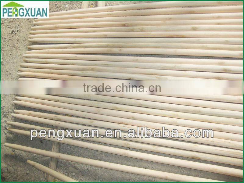 wholesale natural eucalyptus vineyard grape stakes for plant support