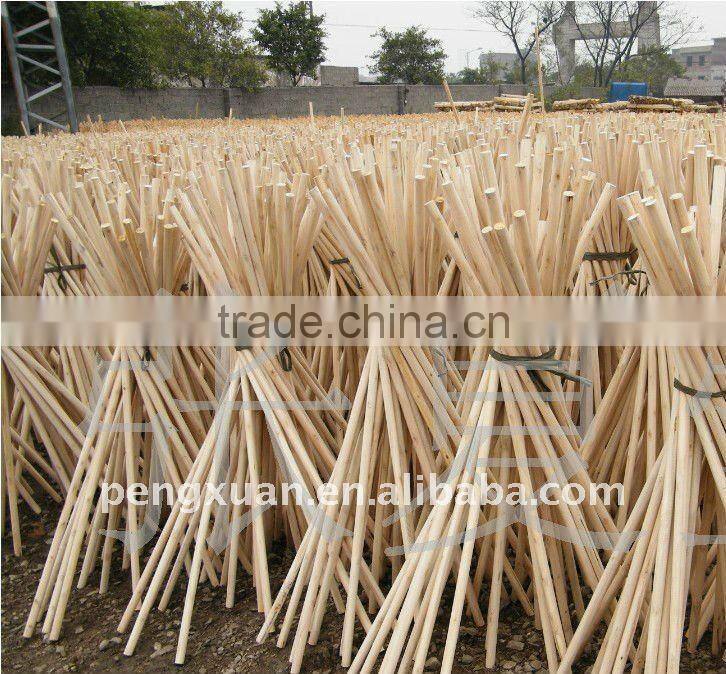 treated wooden poles from eucalyptus wood