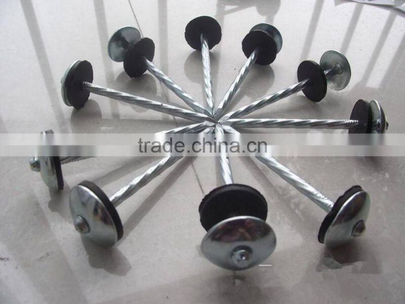 best price best quality for roofing nails