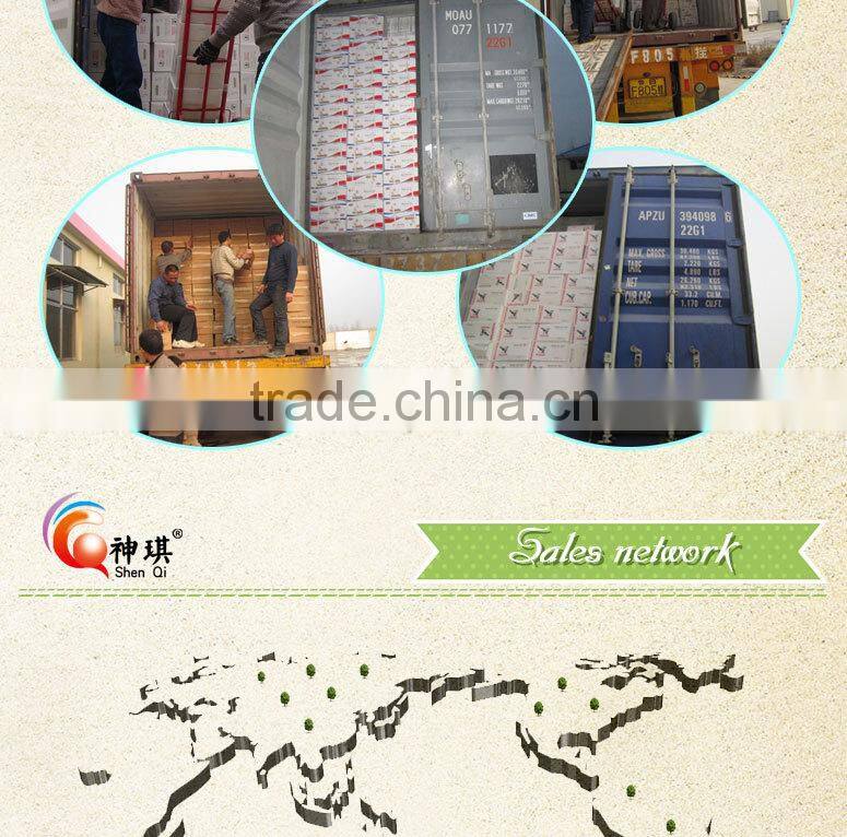 Halal product nutrition dry yeast vaccum bag 10g bakery Instant dry yeast