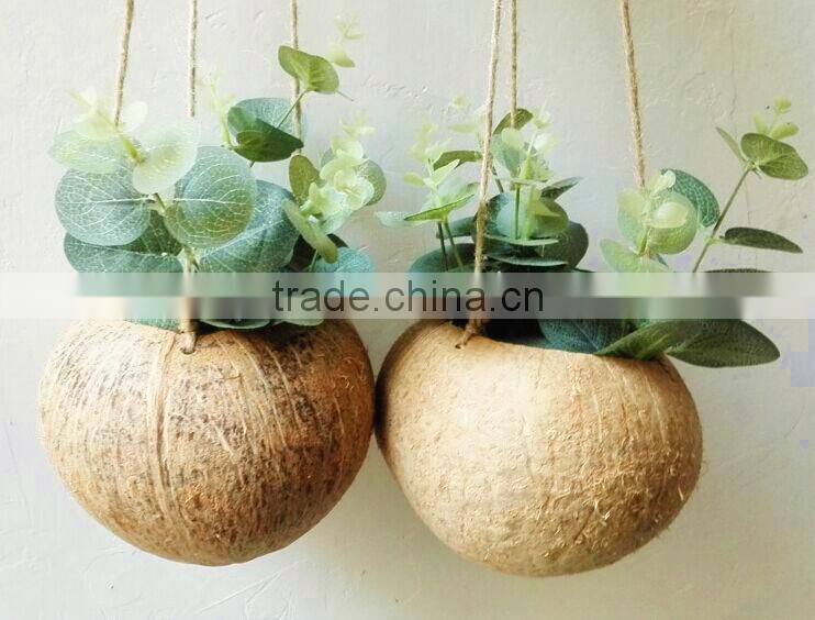 Ex-fty most affordable coconut box/storage container for green plant