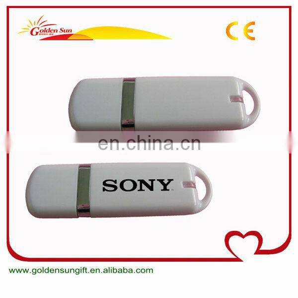 Hot Selling Customized Bulk 2GB USB Flash Drives