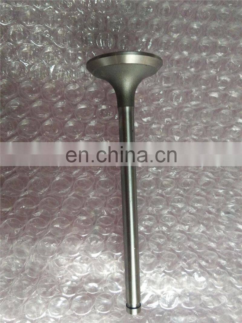 B3.3 Engine Parts Intake Valve 6207414110 6207414130