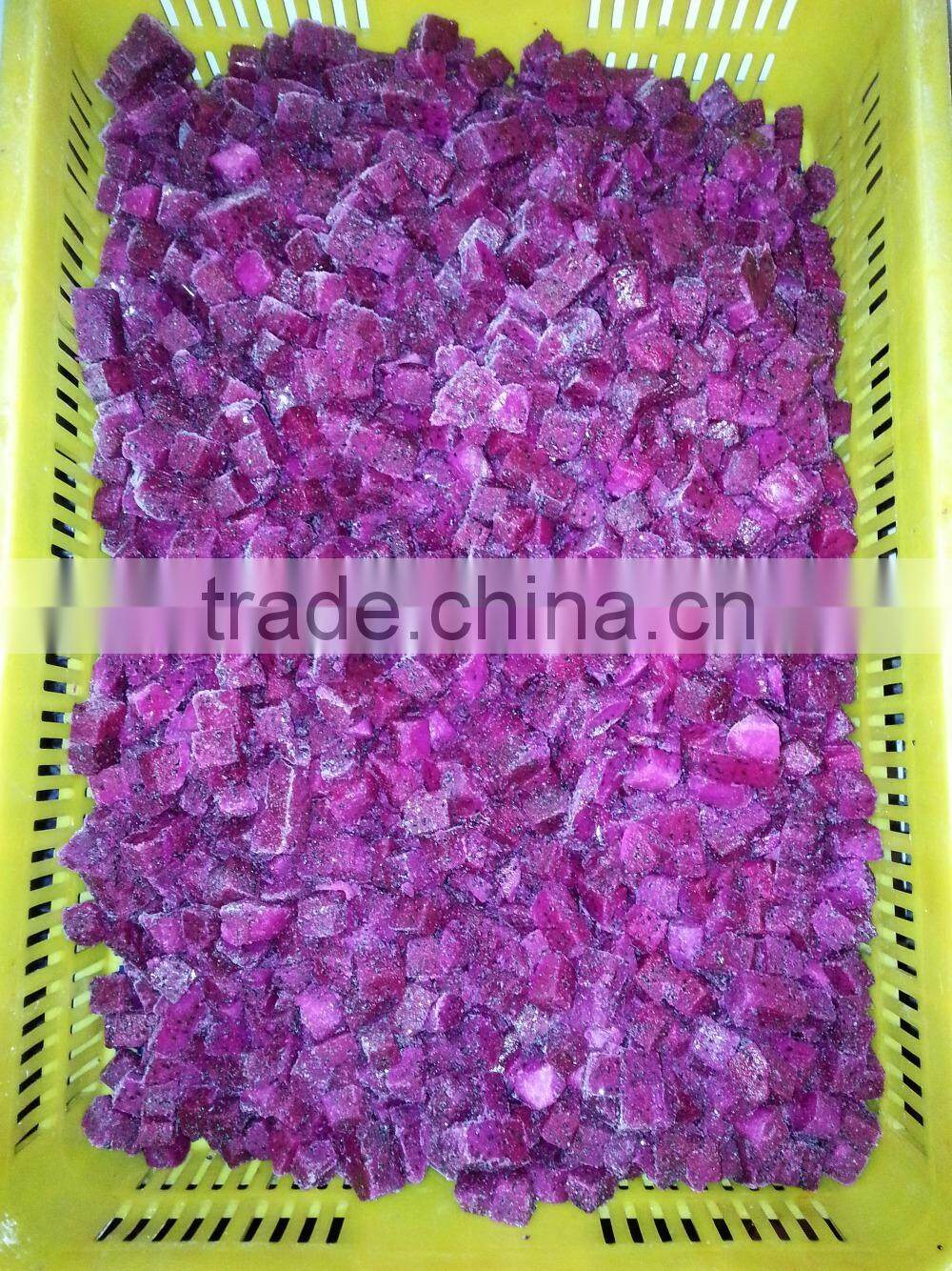 Dried Dragon Fruit from Vietnam/ Organic Dragon Fruit