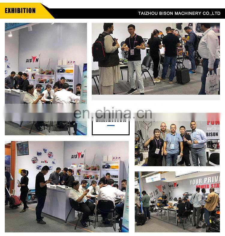 BISON(CHINA) BS-2900 200Bar 380V Industrial Car Wash Equipment With 5.5KW Copper Wire Motor