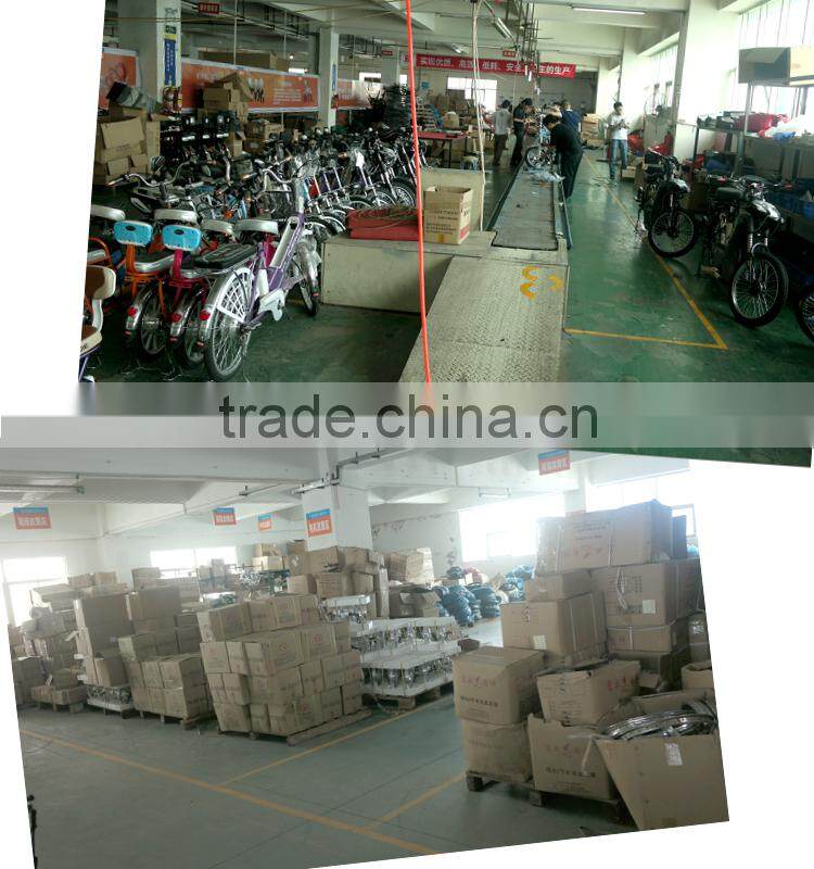 hot selling cheap 14`` mini folding electric bike for teenagers