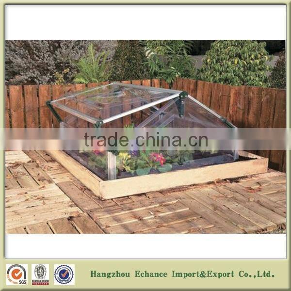 Outdoor or Indoor Double lids transparent mini green house for garden flower plant-GH2031