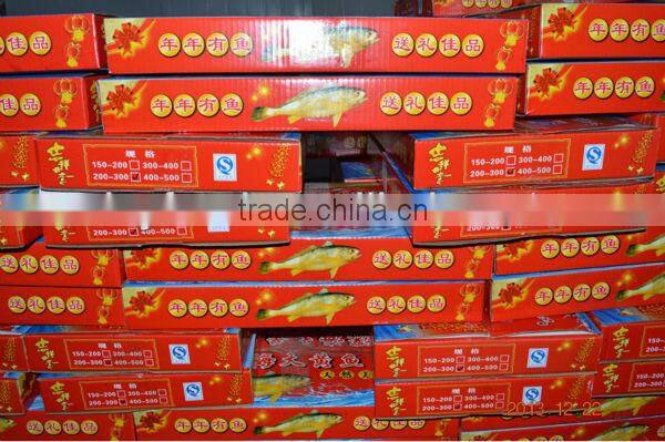 Hot sale yellow croaker gift box package