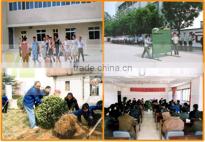 Chemical resistant FRP Deck, big load bearing FRP Grating Deck, Fiberglass Pultruded Grating Decking