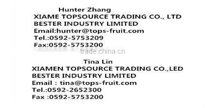 2015 hot selling IQFbamboo shoot strips