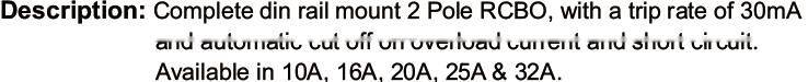 2 Pole RCBO