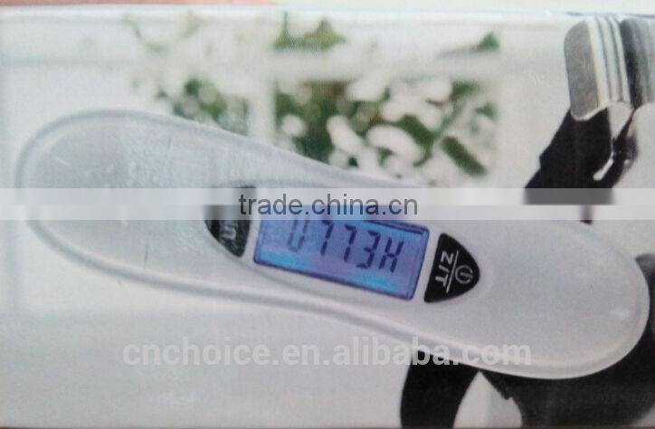 Electronic portable scale