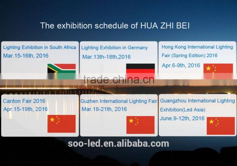 LED Park light led street light 30W replacement with high quality