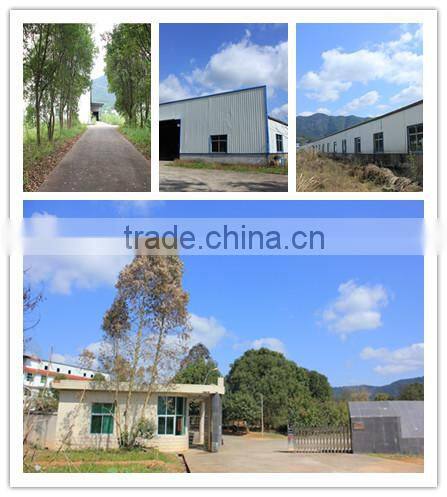 Wooden Root Carving Delicate Snack Plate