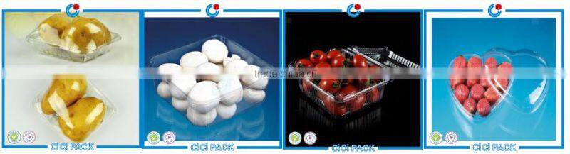 Cheap price disposable plastic(PP/PS/OPS/PET) food/fruit/candy/salad packaging container/box