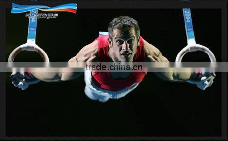 New Gym Ring PC Gym Ring with strap(25mm) 2015 NEW! GYM RING,WOOD RING,OLYMPIC RING