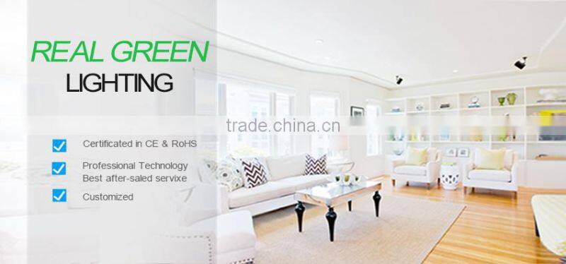 warm white 2 years warranty high quality Wholesale 50m/roll green 5050 led strip light with connector