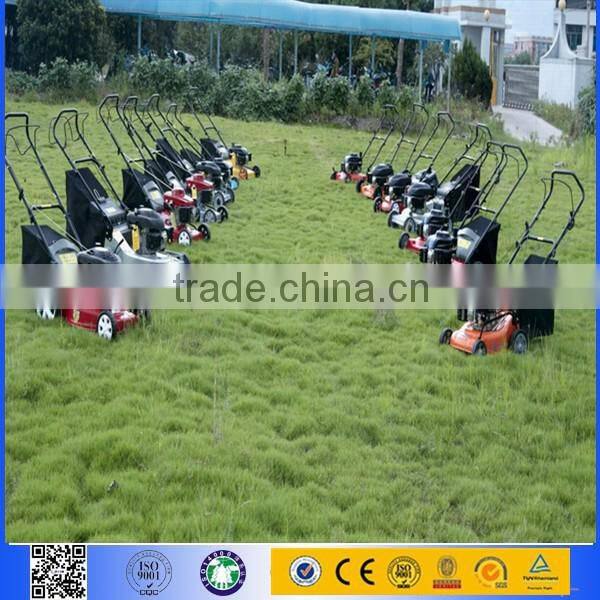 CE approved Multifunctional hand push electric lawn mower walk behind